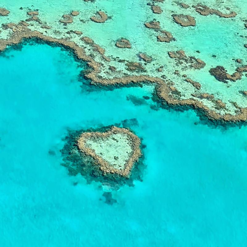 Skip Bin Hire, Whitsundays