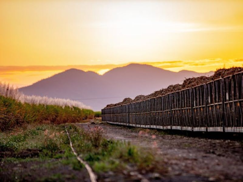 Skip Bin Hire, Proserpine, North Queensland