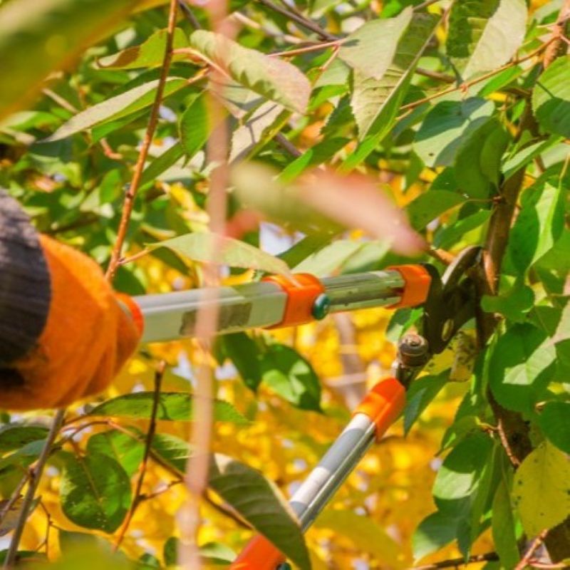 Green Waste Skip Bin Hire, Whitsundays