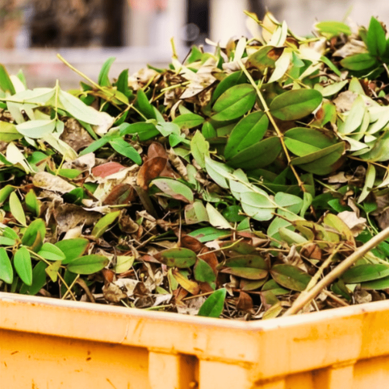 Green Waste Skip Bin Hire, Whitsundays